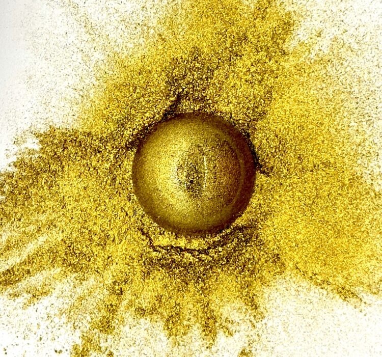 Luxury Gold Pigment Powder