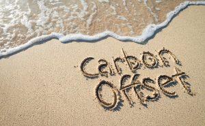 Eli Chem carbon neutral