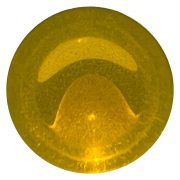 Colour Passion pineapple zest gel tint | Resin and More
