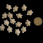 White turtles for art decor. Embed in resin.